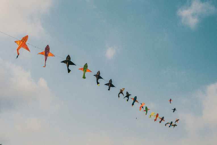 Kites flying in the wind