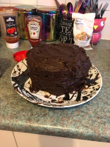 The Vegan Devil's Food Cake Sam and I made