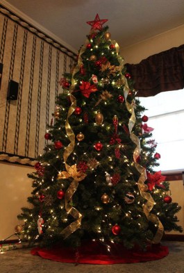 most-beautiful-christmas-trees-12