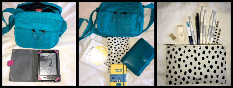 Main Compartments.png